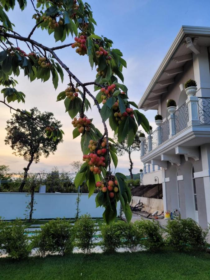 Tenuta Santo Stefano Azienda Agrituristica Santo Stefano del Sole Eksteriør billede